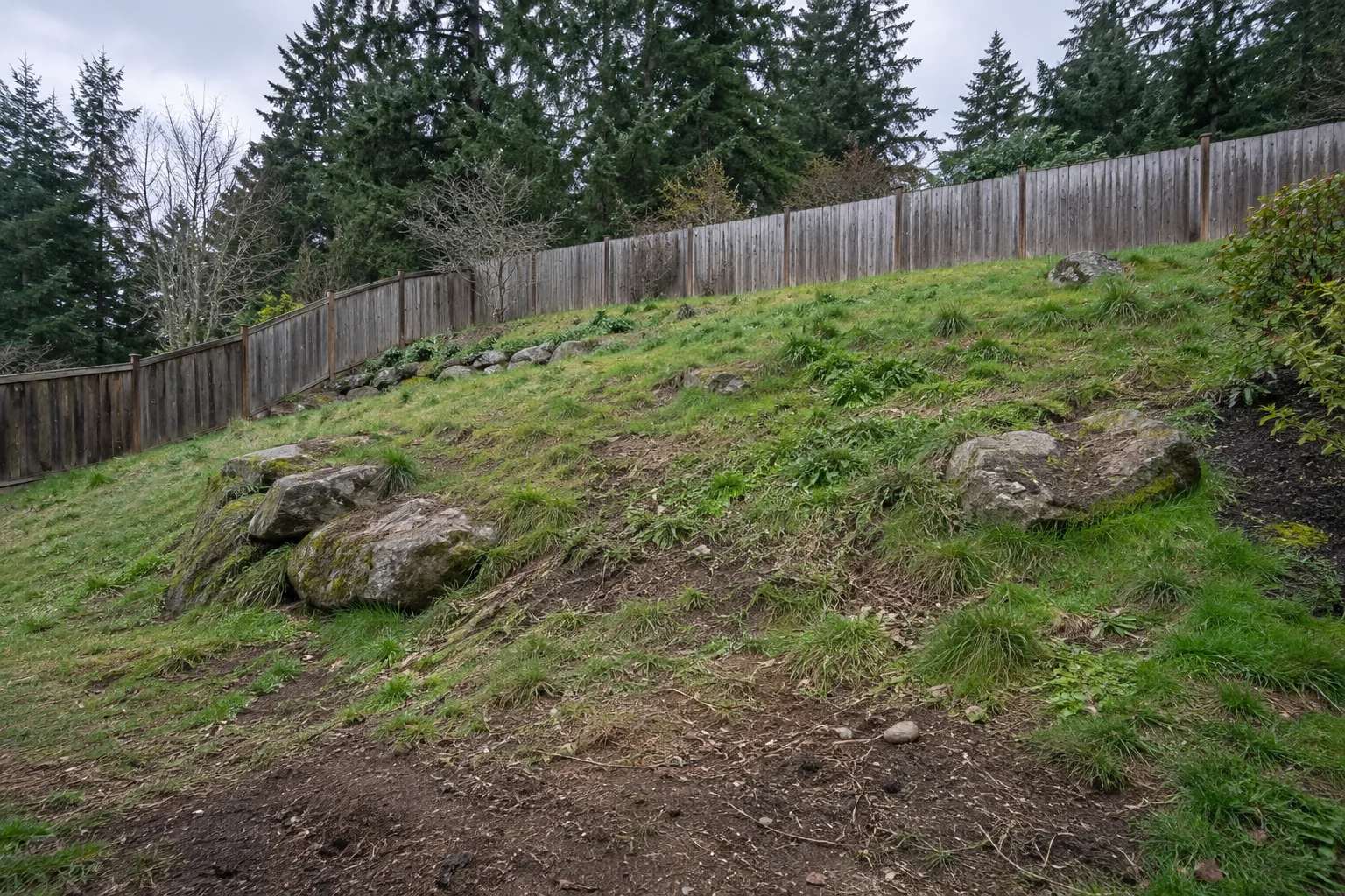 Before concept: rough sloping ground with scattered boulders in a residential backyard